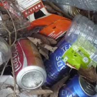 Litter and fly-tipping
